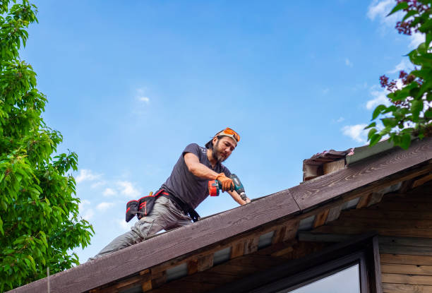 Best Skylight Installation and Repair  in Moyie Springs, ID